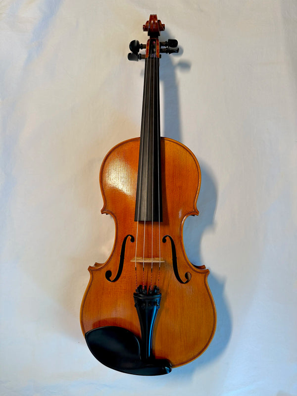 15.5" Viola