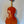 Load image into Gallery viewer, 4/4 Violin
